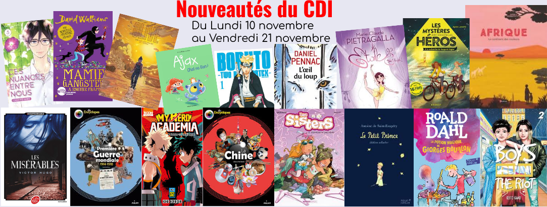 Nouveautés 10/11 au 21/11