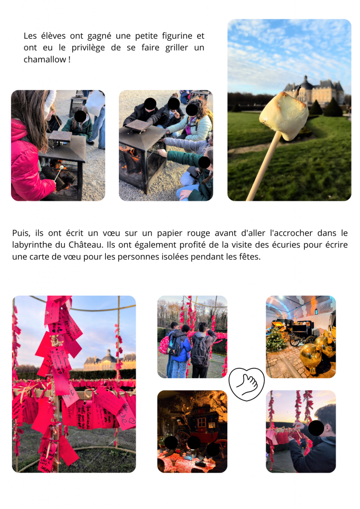 Sortie-FSE-Chateau-Vaux-le-Vicomte-2-724x1024 Sortie FSE au Château de Vaux-le-Vicomte