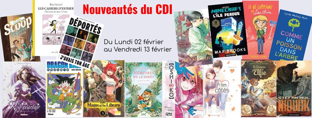 Nouveautés début février