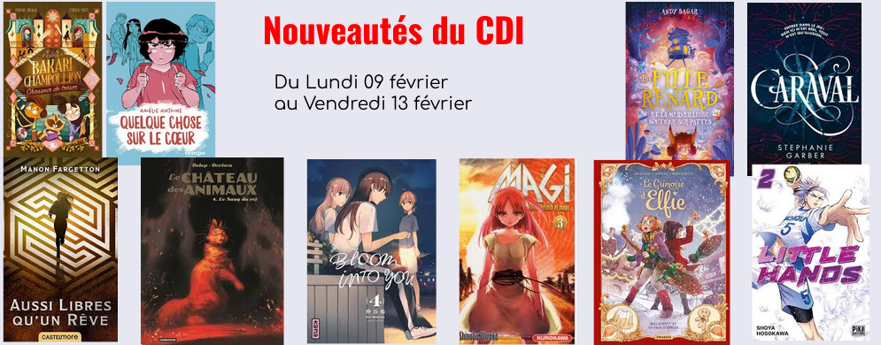 Nouveautés 09/02 à 13/02